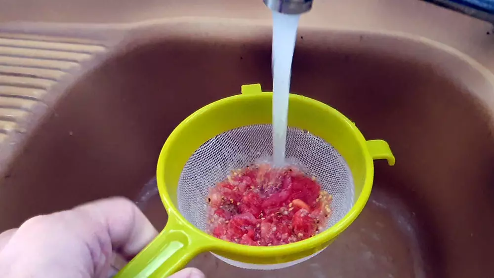 ecume blancheatre comment recolter graines tomates petit potager bioeau