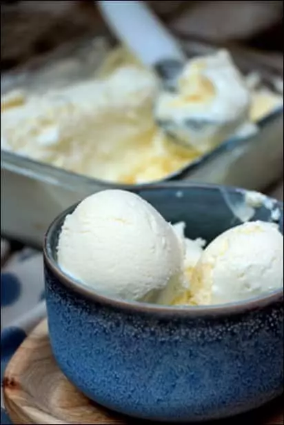 glace yaourt bulgare