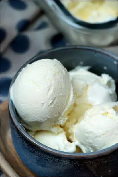 glace yaourt avec sorbetière