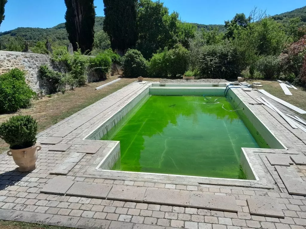 eau piscine trouble verte
