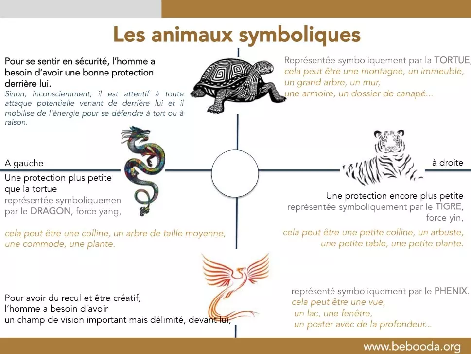 Les 5 animaux - Feng Shui